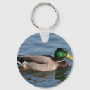 Search for ducks key rings Mallard