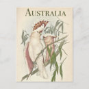 Search for gum postcards Birds
