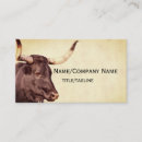 Search for longhorn business cards Ranch