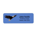 Search for flying eagle photography Bird in flight