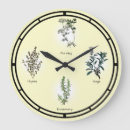 Search for herb illustration posters Sage