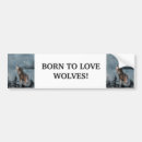 Search for bison bumper stickers Animal