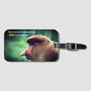 Search for monkey luggage tags Fun