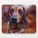 Search for dapple mousepads Doxie