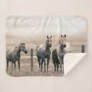 Search for horse blankets Farm