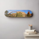 Search for landscapes skateboards Photography