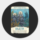 Search for ocean otter stickers Cute