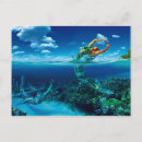 Search for meer postcards Palmen