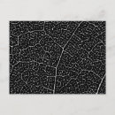 Search for leaf vein postcards Botanical