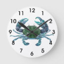 Search for crab clocks Blue