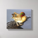Search for winged art Duck