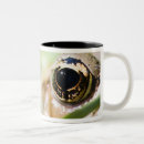 Search for selective focus mugs Green