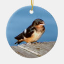 Search for swallow christmas tree decorations Nature