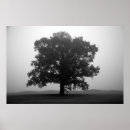 Search for alone photography Black and white