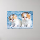 Search for persian canvas prints Kitten