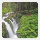 Search for olympic national park stickers Usa