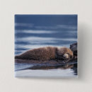 Search for ocean otter badges Wildlife