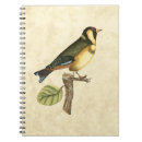 Search for avian notebooks Domestic