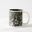 Search for birds of north america mugs Usa