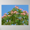 Search for persian posters Flower