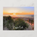 Search for cape cod beaches Vacation