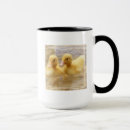 Search for duckling mugs Nature