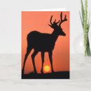 Search for black tailed cards Washington