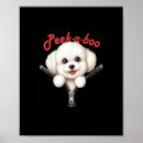 Search for funny halloween posters Cute animal