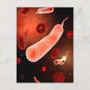Search for cholera Cell