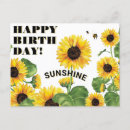 Search for happy birthday sunflower postcards Summer