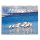 Search for shore bird photography Nature
