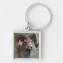 Search for bighorn key rings Montana