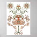 Search for aquatic posters Haeckel