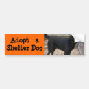 Search for black lab bumper stickers Puppy
