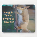 Search for feeders mousepads Bird feeder