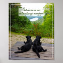 Search for student life posters Motivational quote
