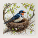 Search for barn swallow Blossom branch