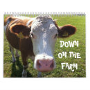 Search for pig office supplies Cows