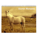 Search for forest calendars Equine