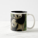 Search for panda baby mugs Sichuan province