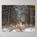 Search for decoupage art Winter