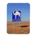 Search for camel magnets Desert