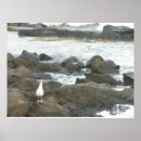 Search for sea bird art Coast