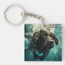 Search for artworks square key rings Dog products