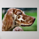 Search for english setter art Pet