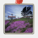 Search for pacific northwest christmas tree decorations Nobody