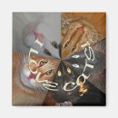 Search for cat magnets Colourful