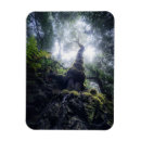 Search for forest park magnets Rainforest