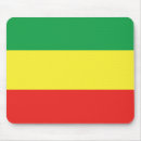 Search for the rasta electronics Flag