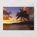 Search for mid pac Hawaii
